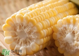 水果玉米多少錢一斤2017？水果玉米市場價格