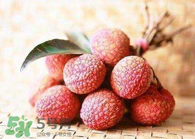 貴妃荔枝是哪里的？貴妃荔枝的產(chǎn)地是哪里