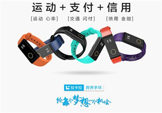 拉卡拉手環(huán)多少錢(qián)？拉卡拉手環(huán)價(jià)格