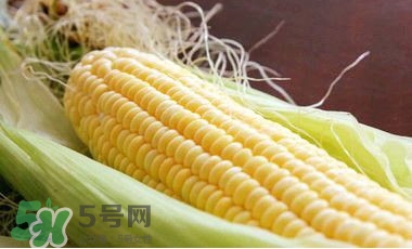 水果玉米是甜玉米嗎？水果玉米和甜玉米的區(qū)別