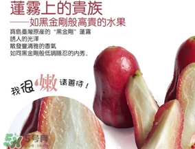 黑金剛蓮霧好吃嗎？黑金剛蓮霧多少錢一斤2017？