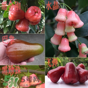蓮霧什么季節(jié)吃最好？什么品種的蓮霧最好吃