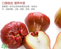 黑珍珠蓮霧多少錢一斤2017？黑珍珠蓮霧產(chǎn)地是哪里