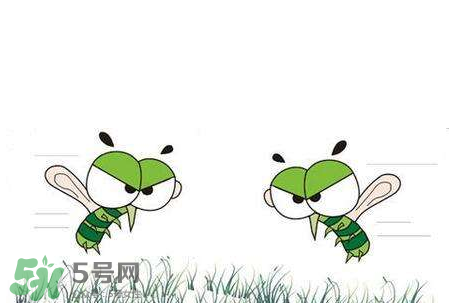 招蚊子是什么原因？招蚊子體質(zhì)怎么辦？