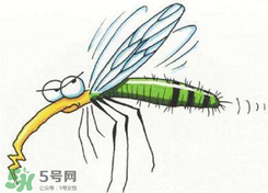 招蚊子是什么原因？招蚊子體質(zhì)怎么辦？