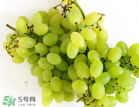 青提什么時(shí)候成熟？青提什么時(shí)候上市？