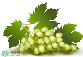 青提不能和什么一起吃？青提哪些人不能吃？