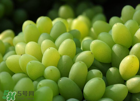 青提不能和什么一起吃？青提哪些人不能吃？