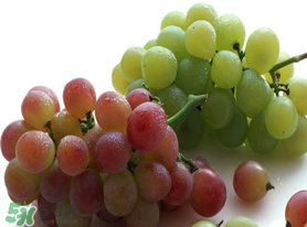 提子和櫻桃能一起吃嗎？櫻桃和提子能同食嗎?