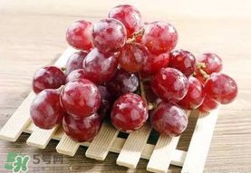 提子和桃子能一起吃嗎？提子和桃子一起吃好嗎？