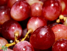 提子什么季節(jié)成熟？提子什么時(shí)候上市？