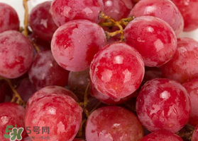 提子什么季節(jié)成熟？提子什么時(shí)候上市？