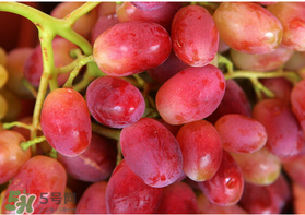 提子什么季節(jié)成熟？提子什么時(shí)候上市？