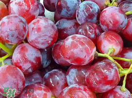 提子一天吃多少？提子一天吃幾個(gè)？