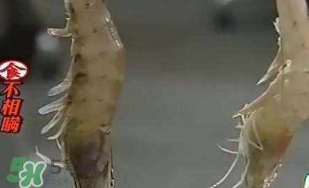 福爾馬林對(duì)人體有什么傷害？如何去除食物中的福爾馬林