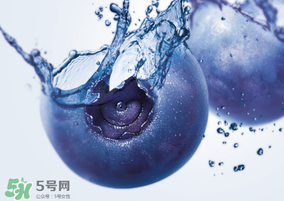 藍(lán)莓熱量高嗎？藍(lán)莓醬熱量高嗎？