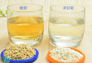 美林菊花晶一天喝幾次？美林菊花晶一天喝多少？