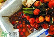 荔枝為什么要用藥水泡？荔枝藥水浸泡是否安全？