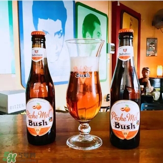 果酒有哪些品牌好喝 國外果酒品牌推薦 果酒有哪些品牌好喝 國外果酒品牌推薦