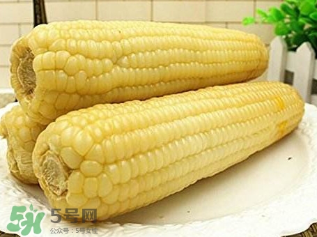 糯玉米怎么保存時(shí)間長？新鮮的糯玉米如何保存