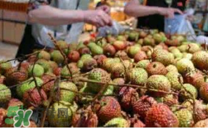 荔枝泡藥水是怎么回事？如何識別泡過藥水的荔枝