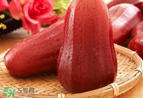 蓮霧什么季節(jié)吃最好？什么品種的蓮霧最好吃