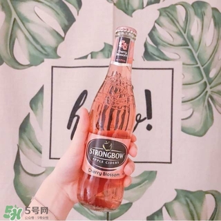 果酒有哪些品牌好喝 國外果酒品牌推薦 果酒有哪些品牌好喝 國外果酒品牌推薦