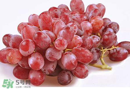 提子為什么會澀？提子澀怎么辦是沒熟嗎？