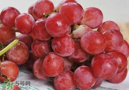 提子為什么會澀？提子澀怎么辦是沒熟嗎？