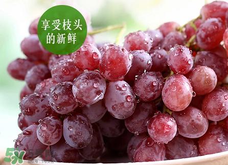 提子為什么會澀？提子澀怎么辦是沒熟嗎？