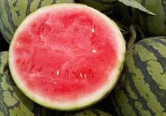 8424西瓜怎么挑？8424西瓜怎么辨別生熟？