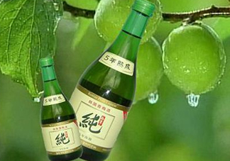 青梅酒泡多久可以喝？青梅酒好喝嗎？