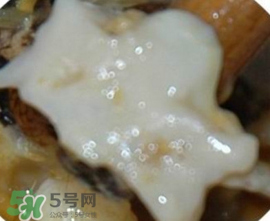 面包蟹是哪里產(chǎn)的？面包蟹哪里不能吃圖解