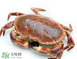 面包蟹好吃還是梭子蟹？面包蟹和梭子蟹的區(qū)別