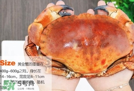 速凍面包蟹如何處理？活面包蟹怎么處理清洗