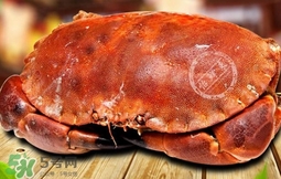 面包蟹可以直接冷凍么？熟凍面包蟹需要處理嗎