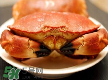 熟凍面包蟹怎么解凍？熟凍面包蟹要怎么清洗