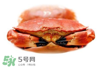 熟凍面包蟹好吃嗎？面包蟹是鮮活的好還是熟凍的好