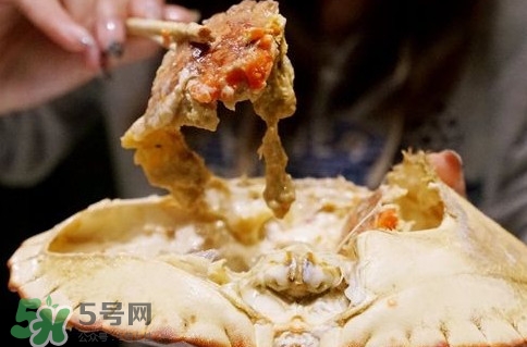 面包蟹什么季節(jié)吃最好？面包蟹什么時(shí)候最有黃