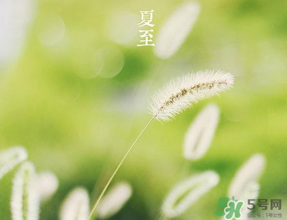 夏至是夏天的開(kāi)始嗎 夏至是幾月幾日 夏至是夏天的開(kāi)始嗎 夏至是幾月幾日
