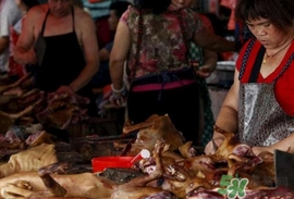 狗肉節(jié)是幾月幾號？2017玉林狗肉節(jié)是什么時候