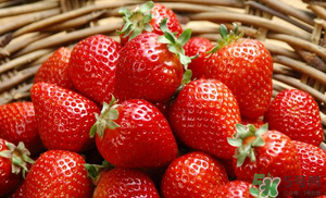 6月份還有草莓嗎？草莓6月份還有嗎？