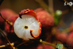 6月份有什么水果？6月份有哪些水果？