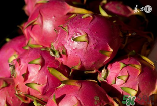 6月份有什么水果？6月份有哪些水果？