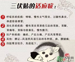 三伏貼能治什么??？三伏貼能治哪些病？