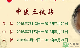 三伏貼能治什么病？三伏貼能治哪些??？