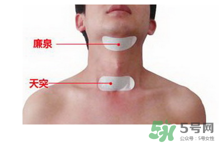 三伏貼貼在什么位置？三伏貼貼哪里？