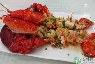 澳洲龍蝦一只多少錢？澳洲龍蝦多少錢一只？