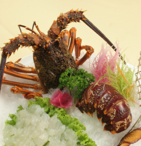 澳洲龍蝦一般多重？澳洲龍蝦一只多少斤？