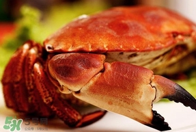 熟凍面包蟹怎么解凍？熟凍面包蟹要怎么清洗